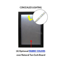 24x48 SwingFrame Designer Metal Framed Lighted Cork Board Display Case 2 Inch Deep